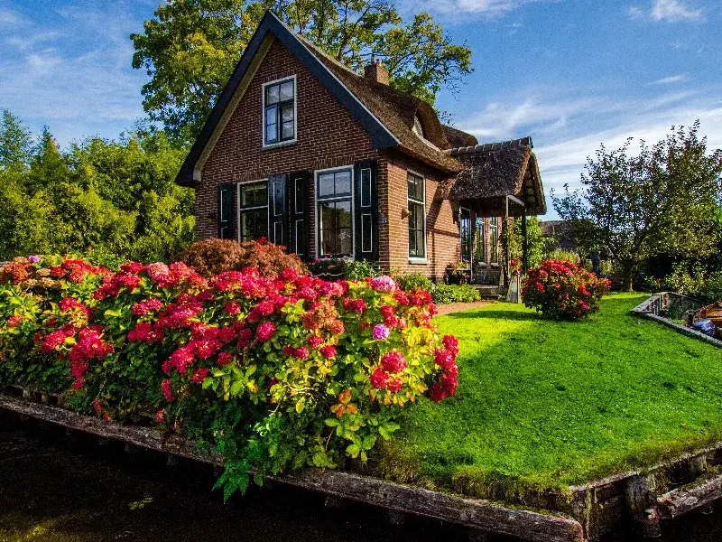 Familie Dag Giethoorn - Afternoon